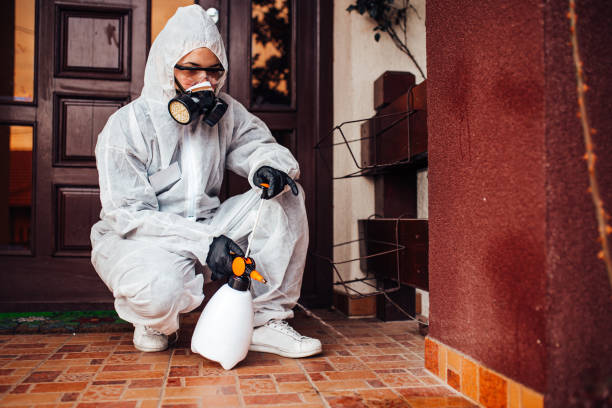 Reliable Ant Control contractor in Mio, MI by Show Me Pest Control