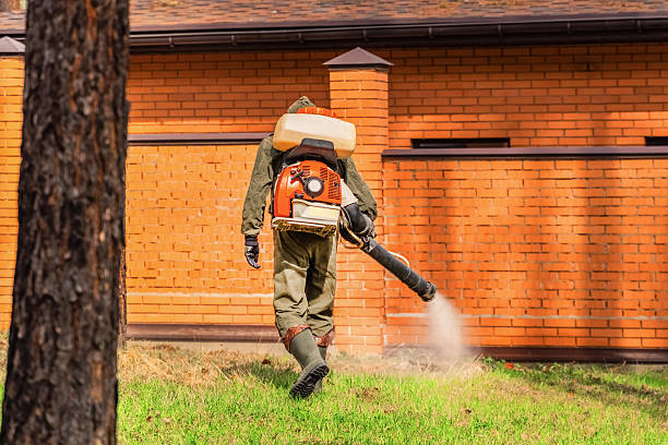 Top rated local Ant Control specialists in Mio, MI